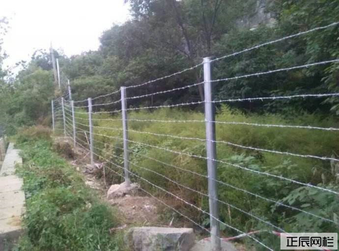 刺鐵絲圍欄網(wǎng)