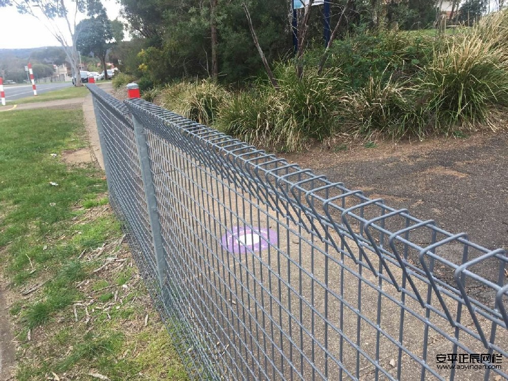 市政園林防護(hù)網(wǎng)