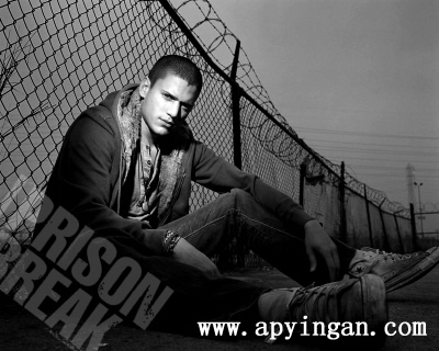 監(jiān)獄鋼網(wǎng)墻