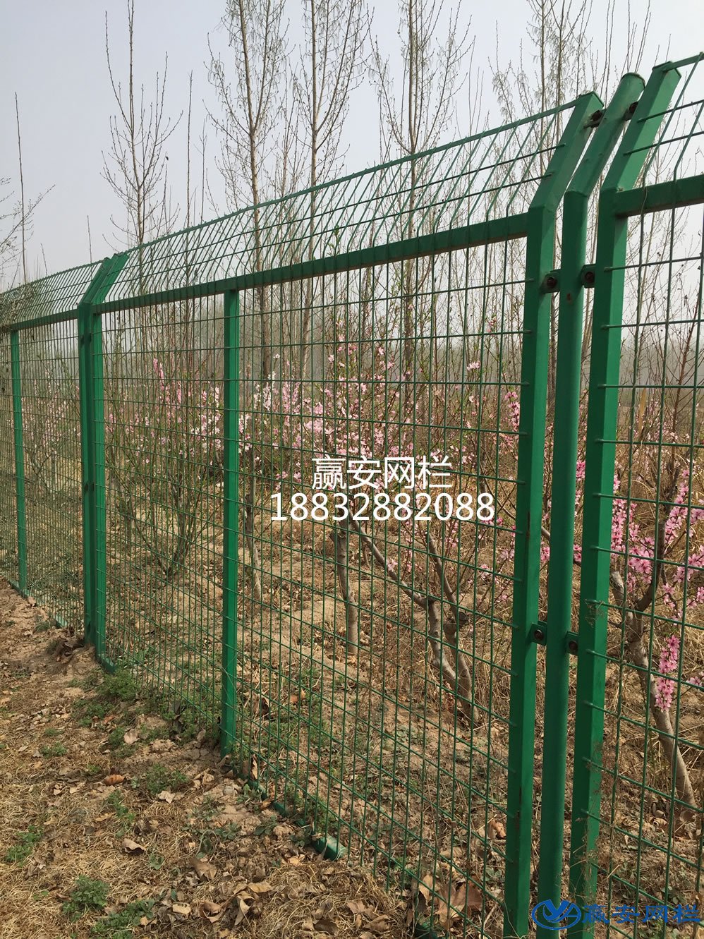 鐵絲圍欄網(wǎng)