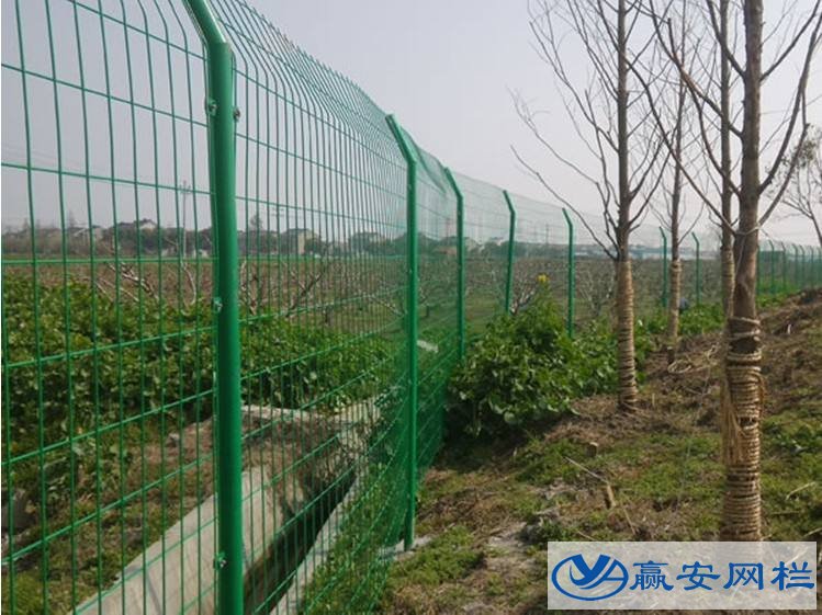 雙邊鐵絲網圍欄