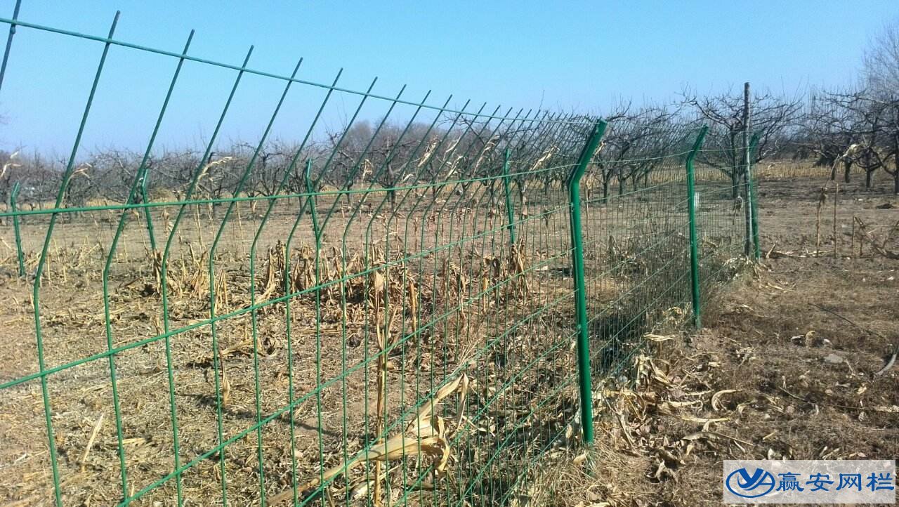 圈地護(hù)欄網(wǎng)