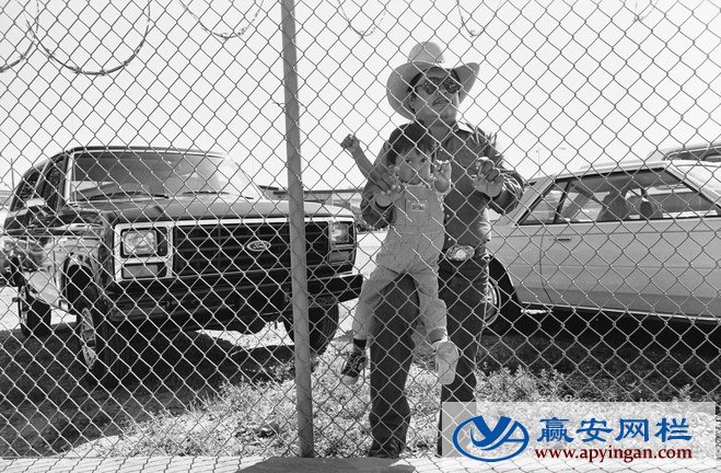 勾花式護欄網(wǎng)