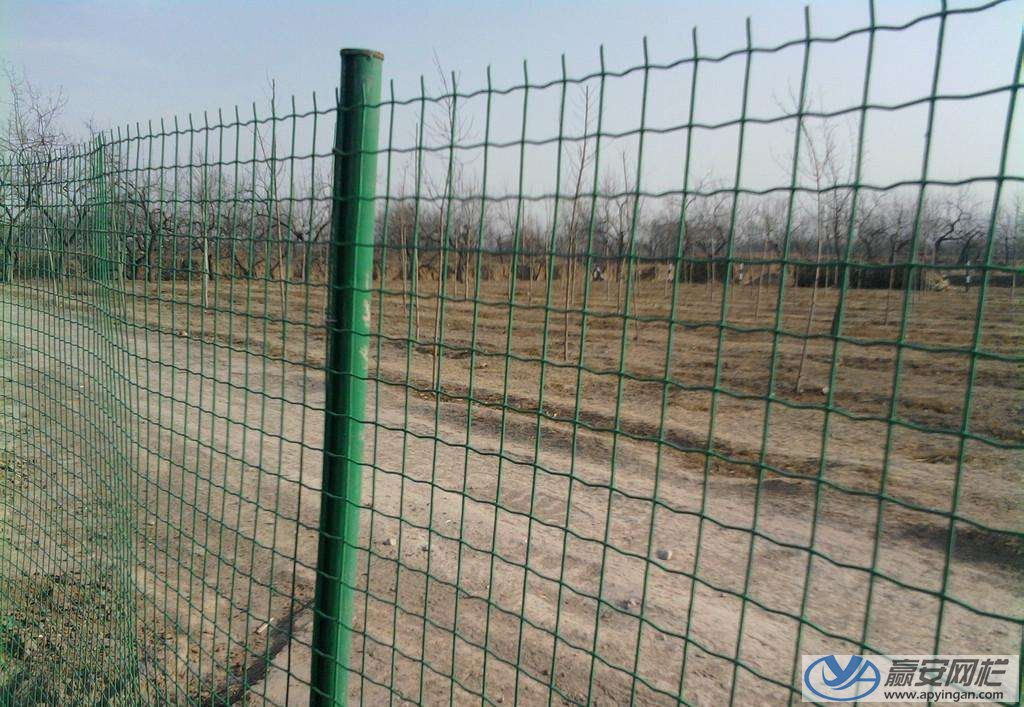 鐵絲網圍欄
