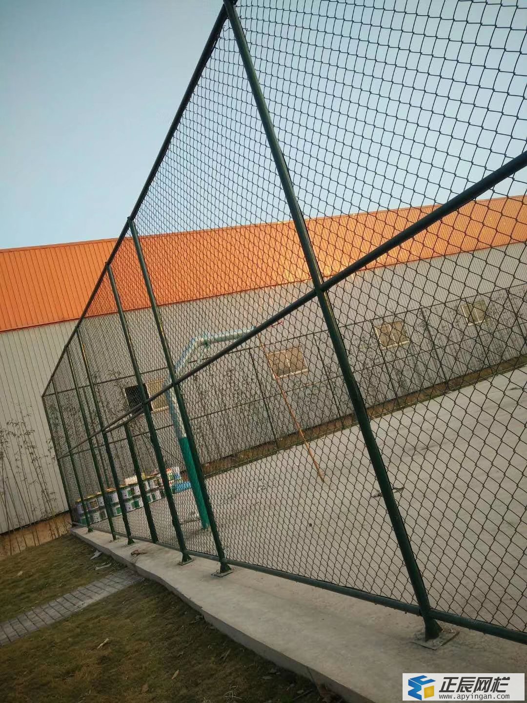 球場圍欄網