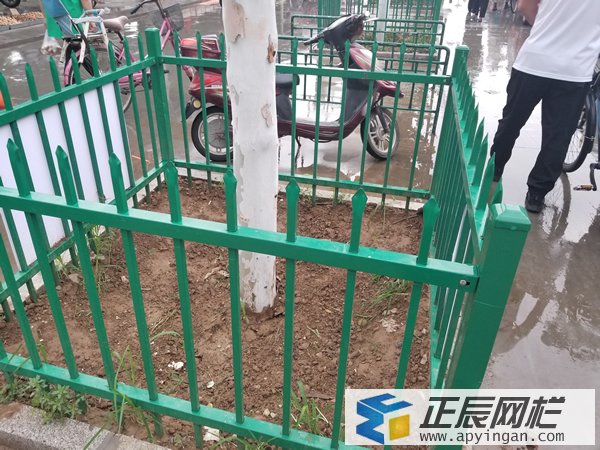 樹(shù)木保護(hù)圍欄