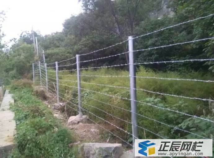 鐵絲網(wǎng)刺繩