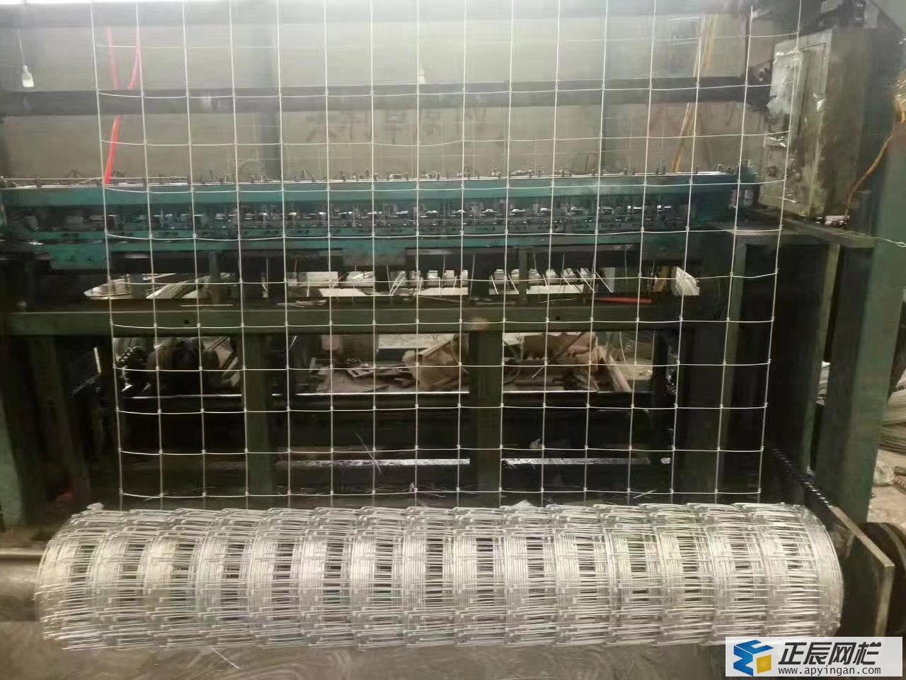 養(yǎng)鹿圍欄網(wǎng)