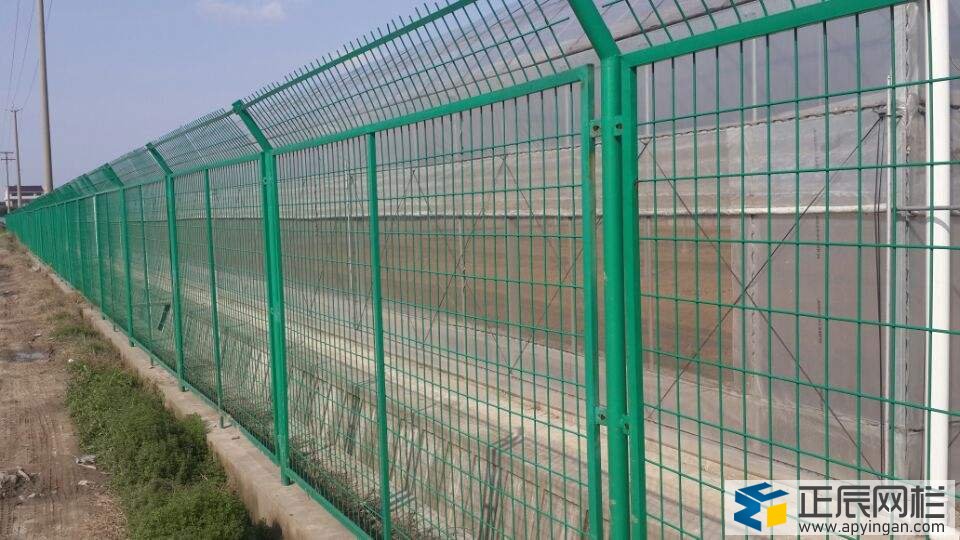 綠色隔離網(wǎng)