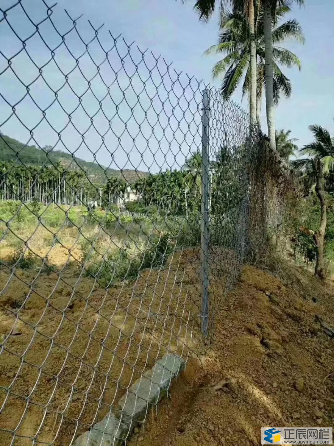 養殖勾花網護欄