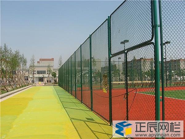 球場框架護欄網圖片
