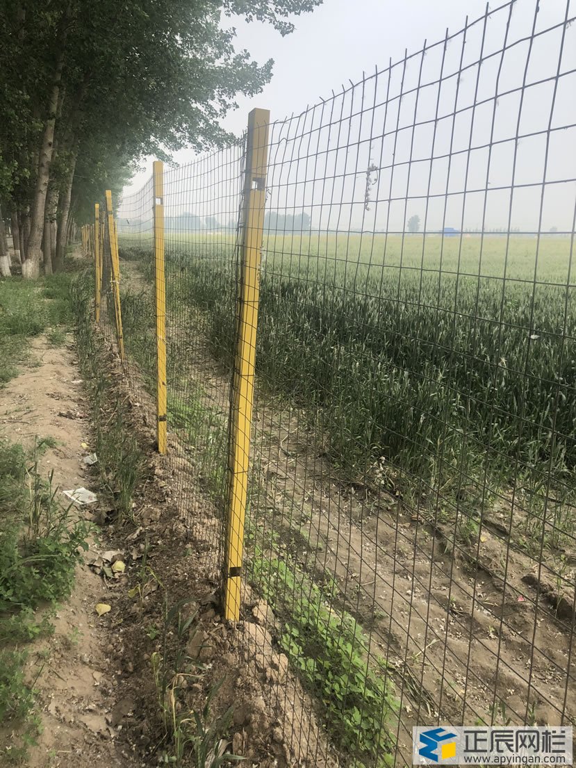 護欄網與玻璃鋼立柱的的結合