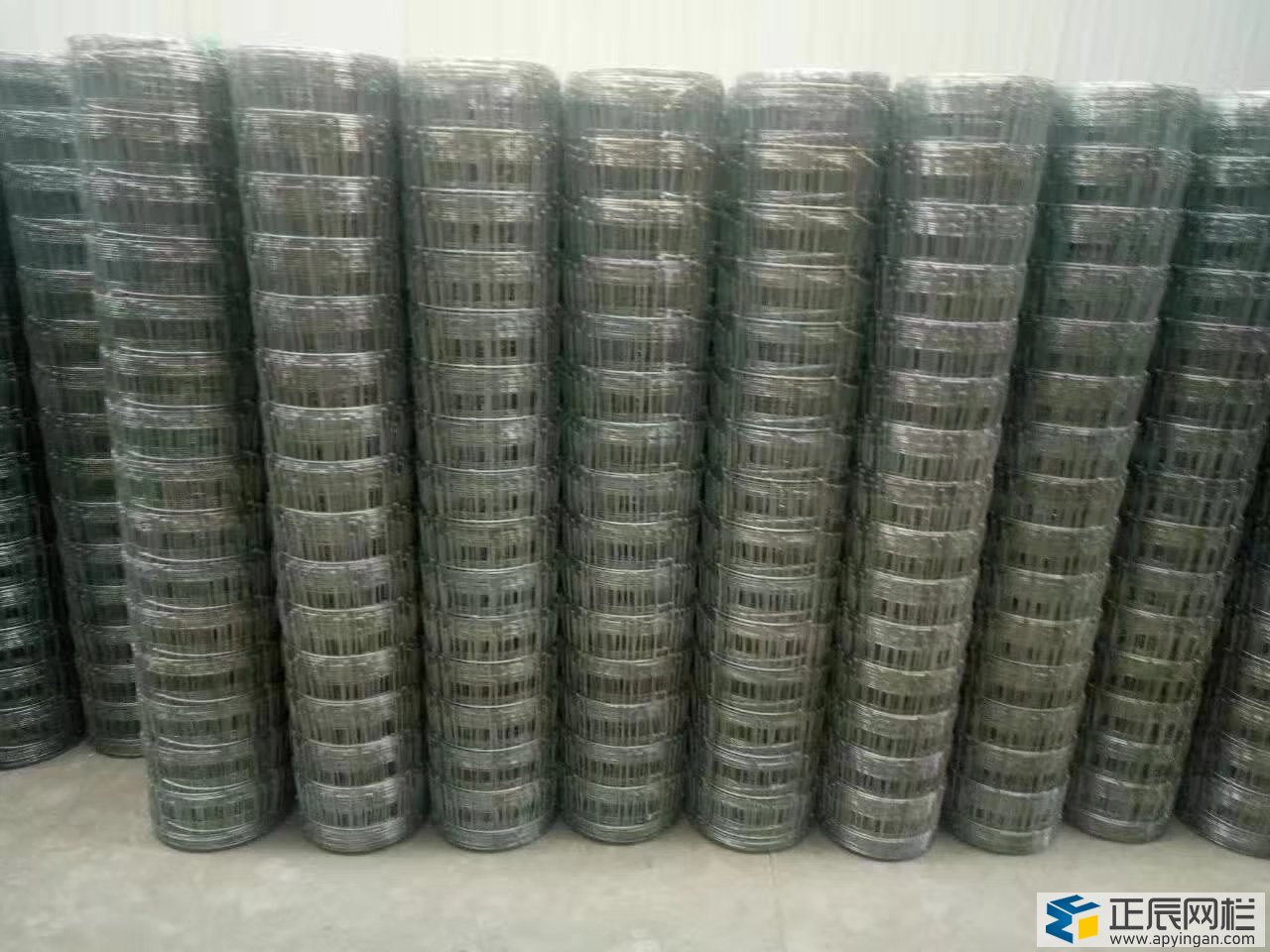 護(hù)欄網(wǎng)廠家現(xiàn)貨供應(yīng)