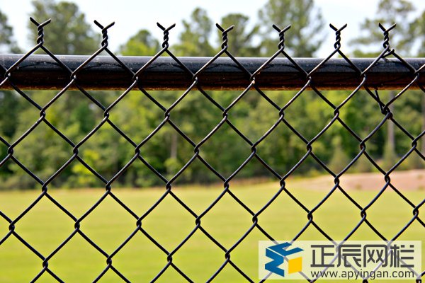 china chain link mesh supplier