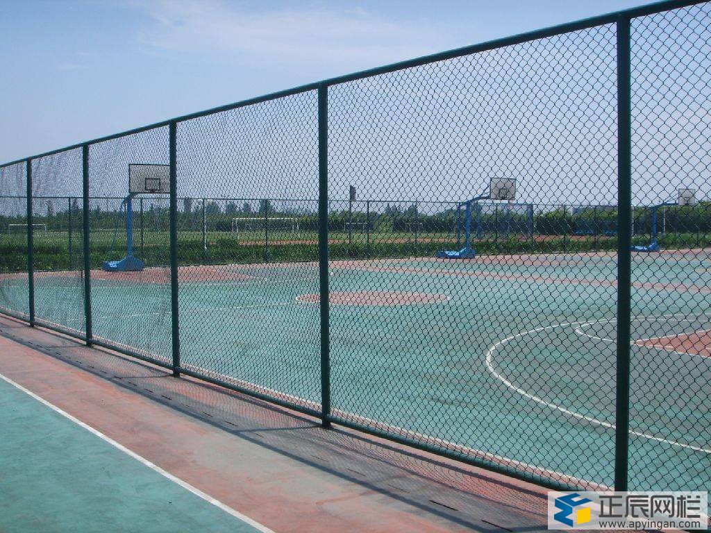 護(hù)欄網(wǎng)多少錢一米