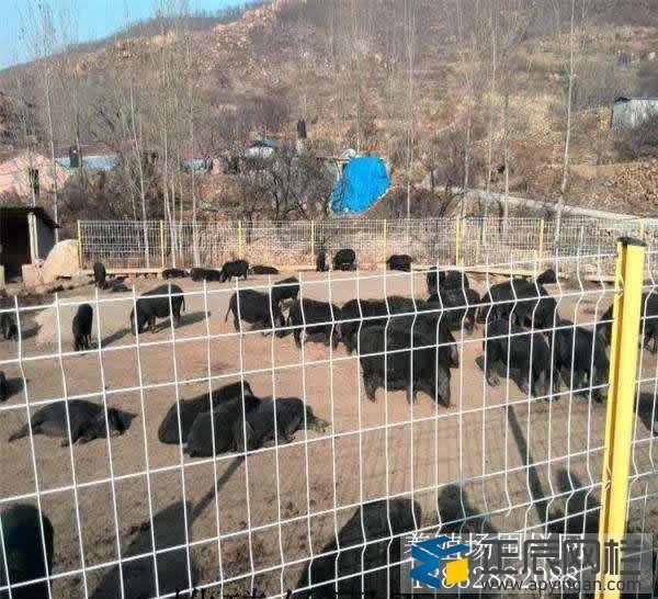 養(yǎng)殖圍欄網價錢
