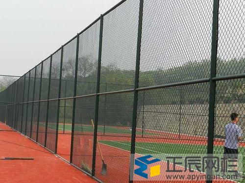 體育場圍網
