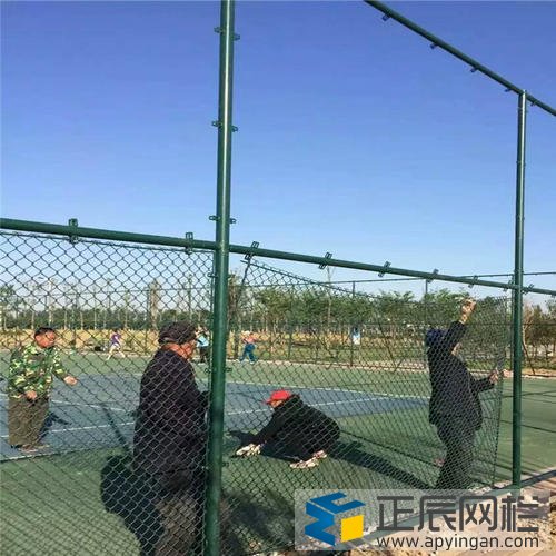 體育場圍網